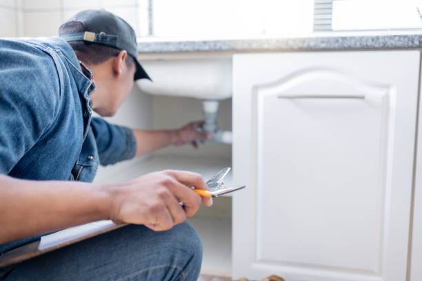 Best Affordable Plumbing Services  in La Vernia, TX